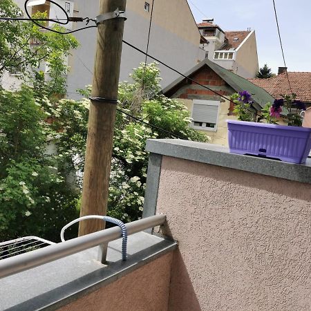 Apartmani Milica Крушевац Экстерьер фото