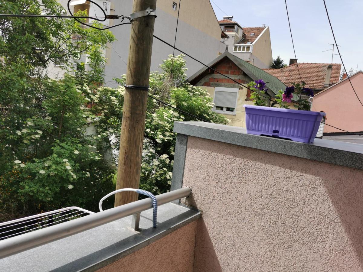 Apartmani Milica Крушевац Экстерьер фото